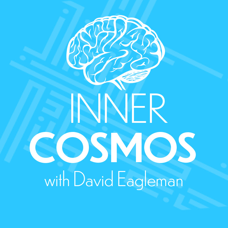 Inner Cosmos with David Eagleman profile