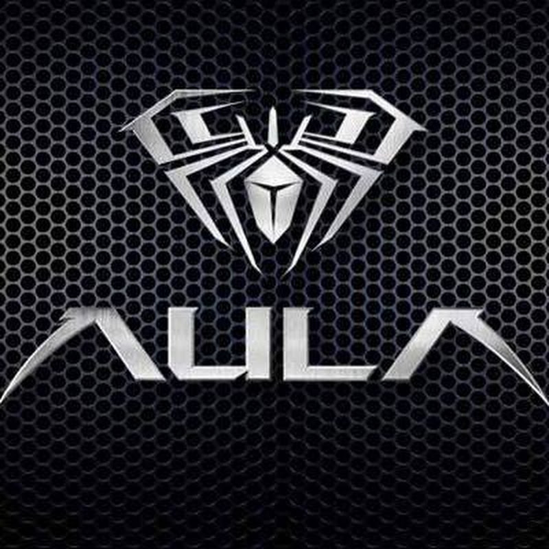AULA GAMING profile