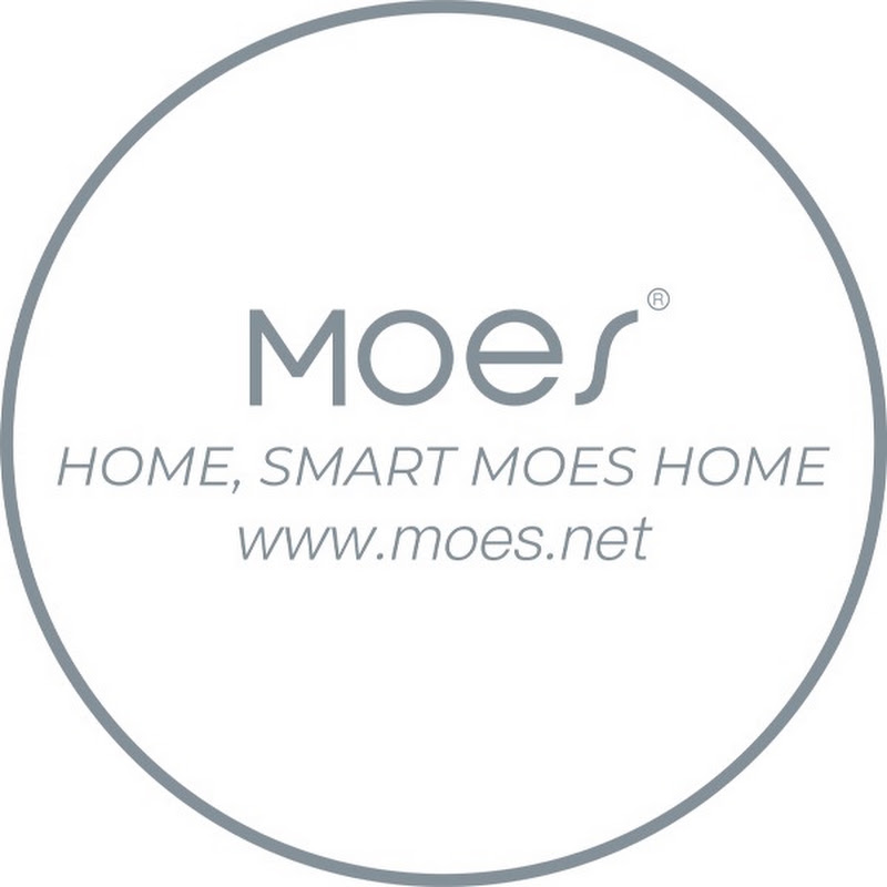 MOES.Official profile