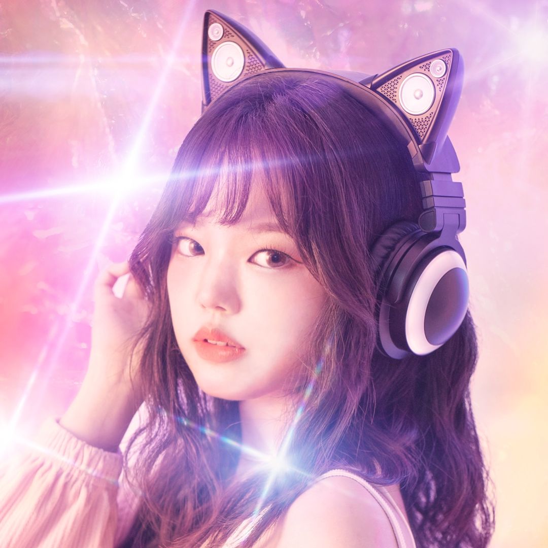ino Cat 이노냥 profile