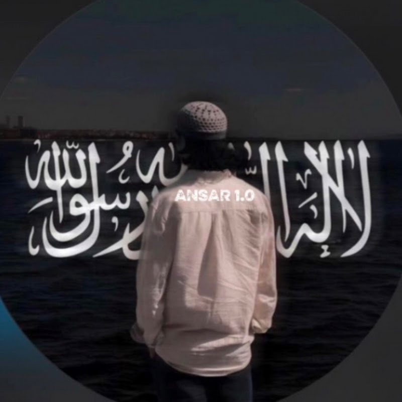 ANSAR 1.0 profile