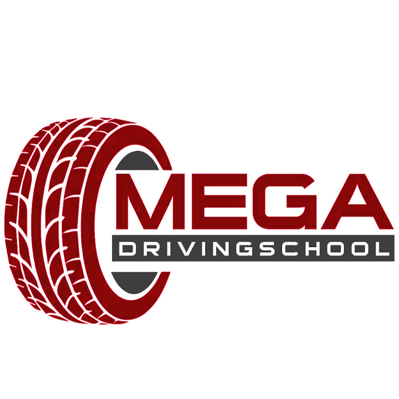 MegaDrivingSchool - Dashcam Hub profile